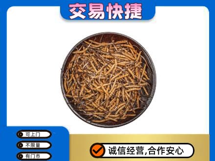 东莞市茶山镇回收散虫草